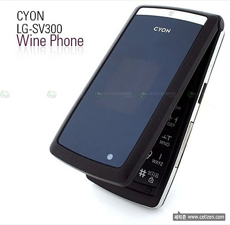 LGֻCV300 