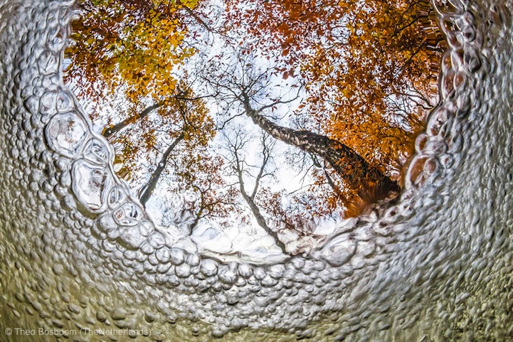 据英国《每日邮报》报道,2013年度的野生动物摄影大赛(Wildlife Photographer of the Year 2013)已于日前落下帷幕,南非摄影师Greg du Toit凭借摄影作品《Essence of elephants》(大象的精华)击败来自全球96个国家和地区的近4.3万名参赛者,成为最后的大赢家。此次摄影大赛还涌现出年度最年轻的摄影师Udayan Rao Pawar。自10月18日起,这些获奖作品将在伦敦自然历史博物馆展出,之后还会参加国际巡