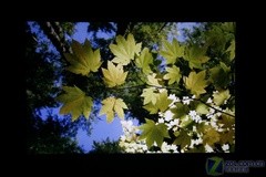 720p短焦王 奥图码HD71S家用投影评测 720p短焦王 奥图码HD71S家用投影评测