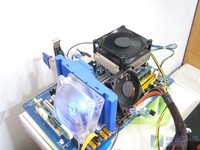 小绵羊变肥牛 实测E1200配P31超3.2GHz
