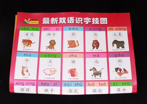 还有拼音挂图图片
