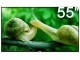 海爾 模卡U55H7
