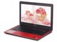 戴尔 Inspiron 灵越 14 7000系列 游匣7000 赤红(INS14PD-1848R)
