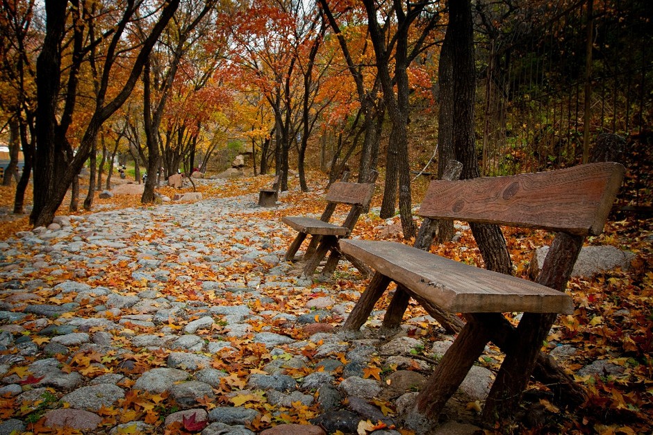 故都的秋 北京45张你没有发现的秋色 组图