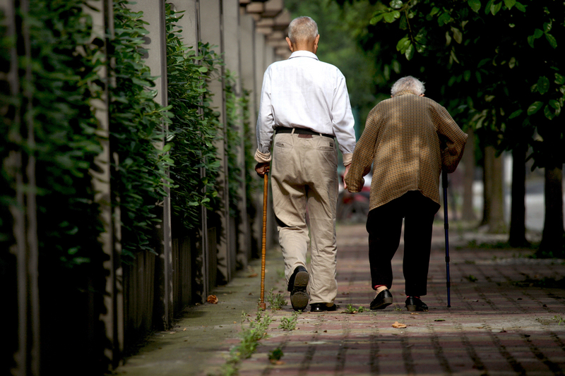 二等奖 《背影》 作者:七月的羊