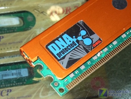 DNAα 2GB/800ڴȤζ 