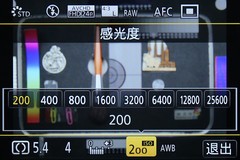ʱ  DMC-GM1ʽ