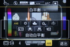 ʱ  DMC-GM1ʽ