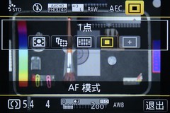ʱ  DMC-GM1ʽ⣨Σ