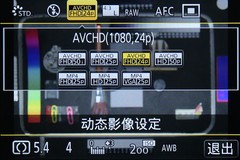 ʱ  DMC-GM1ʽ⣨Σ