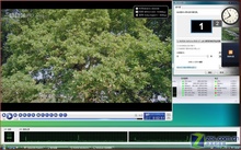 HDTVƪ GF 8400GSҲGF 7600GT 