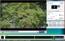 HDTVƪ GF 8400GSҲGF 7600GT 