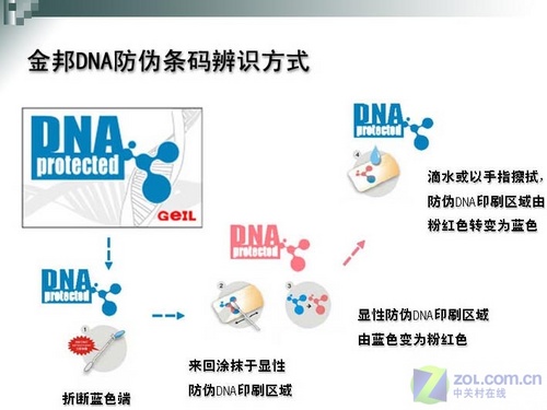 DNAα 2GB/800ڴȤζ 