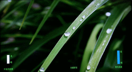 ֻǹ?άῪ42L28RM-F 