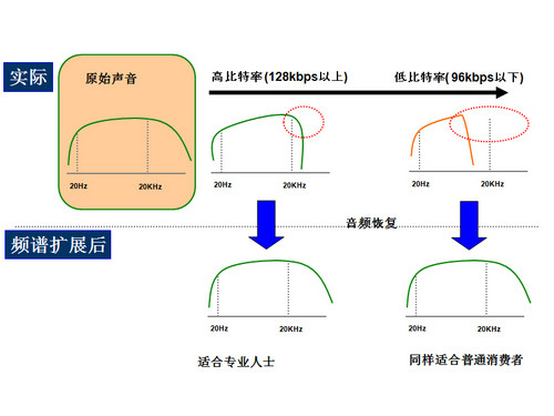 TTSEQ١VSP 콢Q1ȫع 