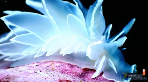 4·HDMIӿڣǿ1080pŻײ 